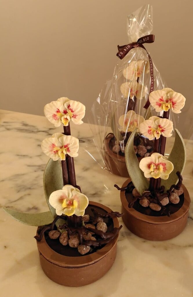 Regala Orquídeas de Chocolate BIO