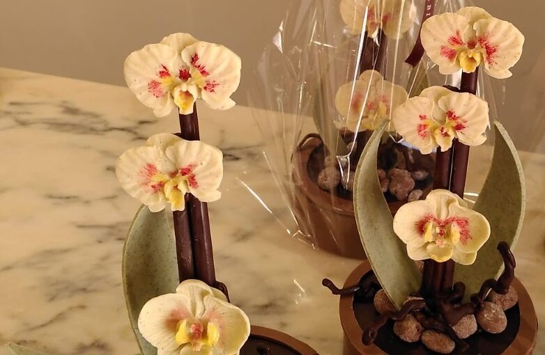 Orquídeas de chocolate. 7 mayo 2023