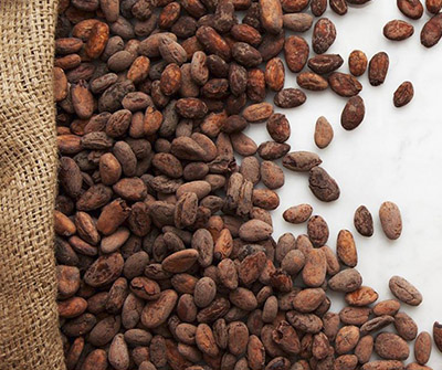 Bean to Bar